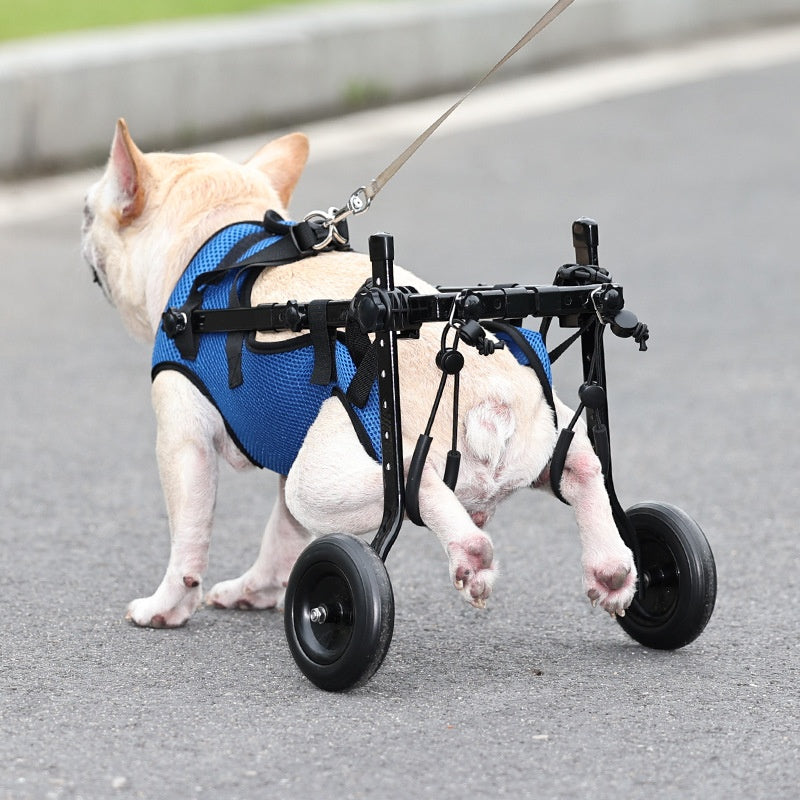Dog Wheelchair